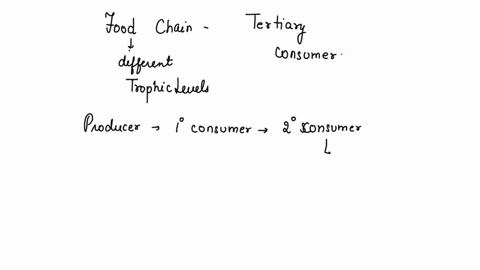 which-animal-is-a-tertiary-consumer-in-this-food-chain-owl-consumer-flower-producer-caterpillar-consumer-snake-consumer-frog-consurer-which-animal-is-a-tertiary-consumer-in-this-food-chain-f-20123