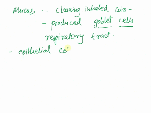question-272-points-mucus-plays-an-important-role-in-cleansing-inhaled-air-it-is-produced-by-of-the-respiratory-tract-hiar-cells-ciliated-celis-ogoblet-cells-great-alveolar-cells-01363