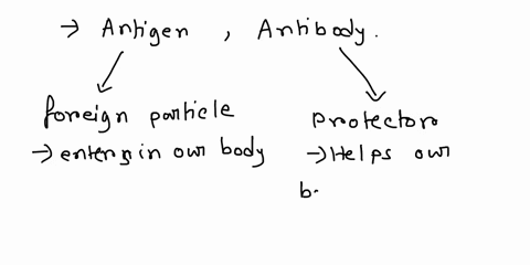 convince-your-hypothetical-humanities-major-roommate-of-the-following-two-things-be-sure-to-explain-the-concepts-of-coevolution-herd-immunity-and-immunological-memory-including-the-main-cell-32234