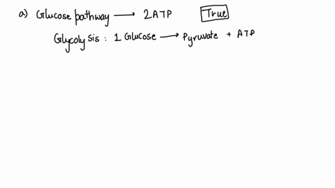 1-glycolysis-pathway-produces-2-atp-per-one-glucose-molecule-true-false-2-pentose-phosphate-pathway-produces-nadph-and-ribose-5-phosphate-true-false-please-help-thank-you-35534