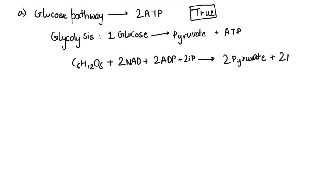 SOLVED: 1. Glycolysis pathway produces 2 ATP per one glucose molecule ...