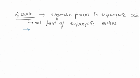 which-would-not-be-found-in-a-eukaryotic-nucleus-a-nuclear-membrane-b-chromatin-c-nucleolus-d-vacuoles-27174