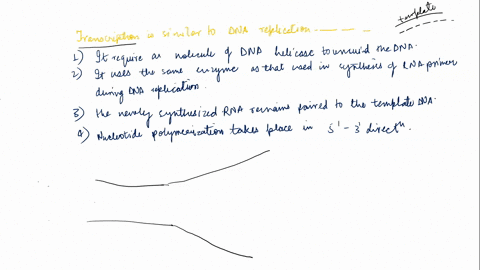 transcription-is-similar-to-dna-replication-in-that-it-requires-a-dna-helicase-to-unwind-the-dna-it-uses-the-same-enzyme-as-that-used-to-synthesize-rna-primers-during-dna-replication-the-new-09051