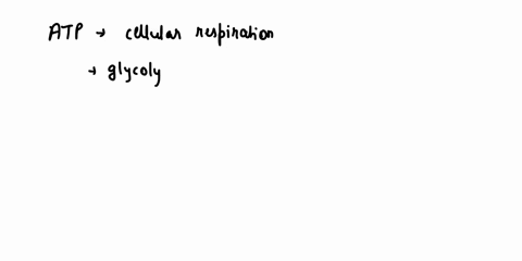 in-which-organelle-are-most-molecules-of-atp-produced-by-the-cell-93591