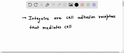 integrins-connect-the-extracellular-environment-and-allow-the-cell-to-move-by-interacting-with-which-intracellular-components-desmoglein-and-dynein-actin-and-myosin-fibronectin-and-laminins-25683