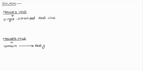 what-is-the-measles-virus-made-of-47332