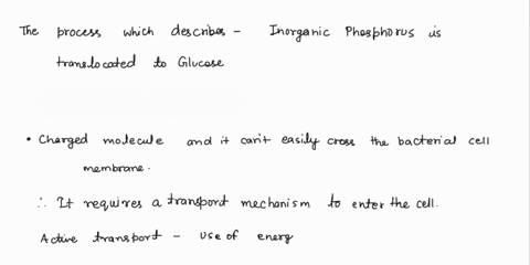 this-process-describes-how-inorganic-phosphorus-is-translocated-to-glucose-entering-a-bacterial-cell-a-active-transport-b-facilitated-diffusion-c-pts-d-osmosis-27584