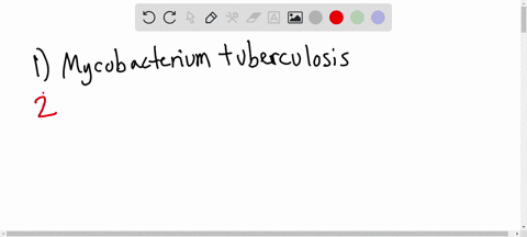 infectious-disease-case-study-6-tuberculosis-tb-is-a-potentially-fatal-bacterial-infection-though-often-associated-with-respiratory-infections-tb-may-infect-numerous-regions-of-the-body-incl-38347
