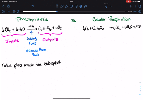 what-are-the-outputs-of-photosynthesis-select-all-that-apply-a-light-b-co2-c-o2-d-water-e-sugar-question-2-select-one-answer-10-points-energy-is-harvested-from-which-reaction-to-produce-atp-90753