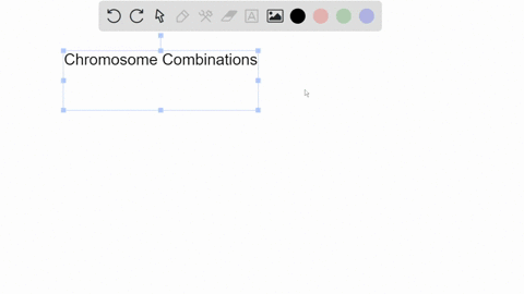 a-diploid-organism-with-a-haploid-chromosome-number-of-20-will-produce-________-combinations-of-chromosomes-at-the-end-of-meiosis-44-x-1012-704-1013-1048576-1024-8388608-96233