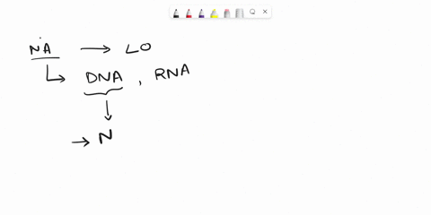 3-tac-aaa-gag-gat-ccg-acc-tca-act-5-1-transcribe-the-dna-sequence-into-the-mrna-sequence-and-label-its-5-and-3-ends-2-what-is-the-full-name-extended-version-of-the-enzyme-that-performs-this-96157