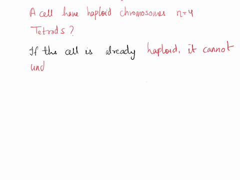 2a-cell-has-a-haploid-chromosome-number-n-4-how-many-tetrads-will-form-during-meiosis-xo-12974