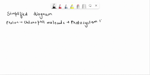 draw-the-flow-of-energy-in-photosynthesis-from-photon-through-atp-to-starch-molecule-thank-you-09787
