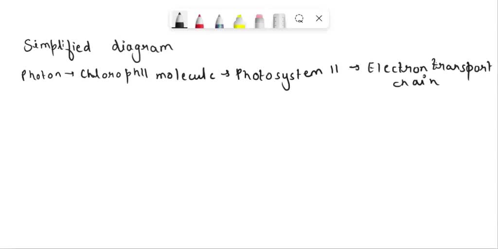 SOLVED: Draw the flow of energy in photosynthesis from photon through ...