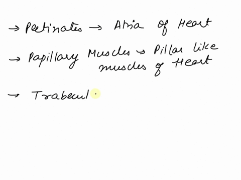 question-11-2pts-which-of-the-following-is-not-composed-of-cardiac-muscle-tissue-o-pectinates-papillary-muscles-otrabeculae-carnae-ointerventricular-septum-o-chordae-tendinae-61785