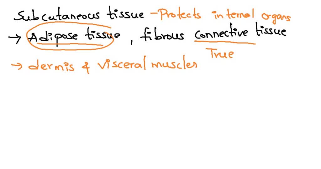 Which Statement Regarding Infection And Inflammation Is Correct Which of the following statements regarding subcutaneous tissue are