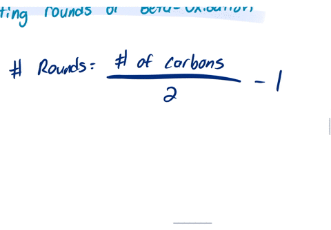 how-do-i-calculate-the-rounds-of-beta-oxidation-with-the-number-of-fatty-acids-98312