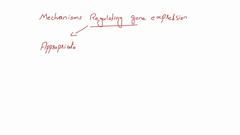 which-of-the-following-does-not-provide-a-mechanism-for-regulating-gene-expression-in-cells-in-response-to-the-environment-group-of-answer-choices-riboswitches-mutation-micro-rnas-mirna-dna-58628