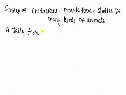 a-group-of-cnidarians-that-provide-food-and-shelter-for-many-kinds-of-animals-are-the-____-a-jellyfish-b-hydras-c-sea-anemones-d-corals-28186
