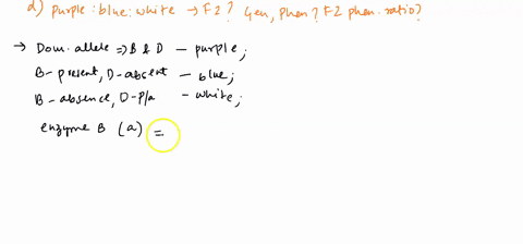 b-in-sweet-peas-the-synthesis-of-purple-anthocyanin-pigment-in-the-petals-is-controlled-by-two-genes_-band-d-the-pathway-is-_-gene-b-gene-d-enzvme-b-enzvme-d-white-intermediate-blue-intermed-51266