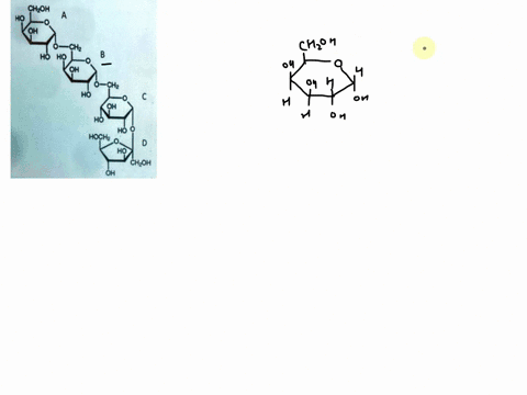 name-the-monosaccharide-identified-as-molecule-b-in-the-following-carbohydrate-be-sure-to-indicate-alpha-or-beta-and-d-or-l-choh-ho-oh-chz-ho-ho-oh-chz-ho-oh-ho-ho-hochz-ho-chzoh-oh-20553