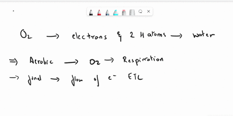 other-biomolecules-such-as-lipids_-disaccharides-and-proteins-can-enter-the-biochemical-pathway-of-aerobic-respiration-justnot-directly-into-the-first-step-water-is-the-final-electron-accept-10613
