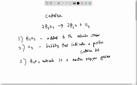 the-reaction-below-is-catalyzed-by-the-enzyme-catalase-hydrogen-peroxide-is-converted-into-water-and-oxygen-which-of-the-molecules-in-the-reaction-is-added-to-the-microbe-smear-which-of-the-95268