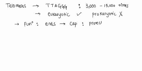 1-which-of-the-following-statements-about-telomeres-is-incorrect-a-they-function-like-a-counter-keeping-track-of-how-many-times-a-cell-has-divided-b-at-birth-they-are-long-enough-to-permit-a-63838