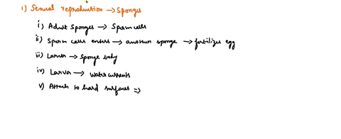 8-describe-sexual-reproduction-of-porifera-including-details-about-the-life-cycle-1-mark-what-structures-and-materials-make-up-the-skeletons-of-porifera-describe-and-draw-sketch-1-complete-t-70825