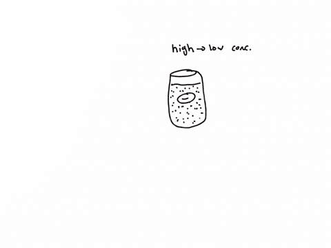 referring-to-both-osmosis-and-diffusion-what-is-likely-to-happen-to-a-cell-exposed-to-a-hypertonic-solution-84236