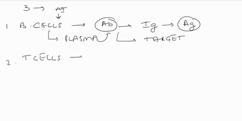 39what-are-the-three-basic-types-of-cells-involved-in-the-adaptive-immune-system-what-is-the-basic-function-of-each-type-cell-40lymphocyte-developmentmaturationand-activation-both-b-and-t-ly-17692