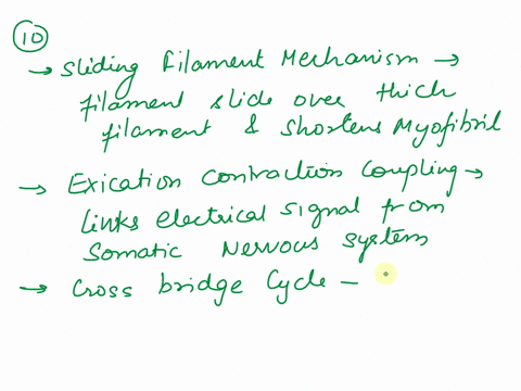 tne-fate-of-acetyicnoline-dmonan-descrlbe-skeletal-muscle-fiber-the-sllding-contraction-including-fllament-mechanism-excitation-contraction-coupling-the-cross-bridge-cycle-how-muscle-fiber-c-74753