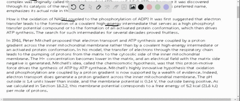 briefly-describe-how-the-proton-motive-force-is-employed-to-efficiently-drive-oxidative-phosphorylation-in-atp-synthase-a-basic-description-of-the-process-and-the-b-subunits-of-atp-synthase-97136