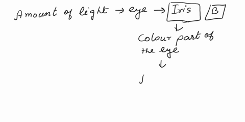 the-amount-of-light-entering-the-eye-is-regulated-by-a-retina-b-iris-c-sclera-d-cornea-89528