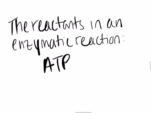 the-reactants-is-an-enzymatic-reaction-atp-substrate-or-active-site