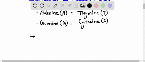 question-suppose-you-have-sample-of-double-stranded-dna-through-chemical-analysis_-you-find-that-18-of-your-sample-consists-of-adenine-a-how-much-of-your-sample-consists-of-guanine-g-64-18-9-90222