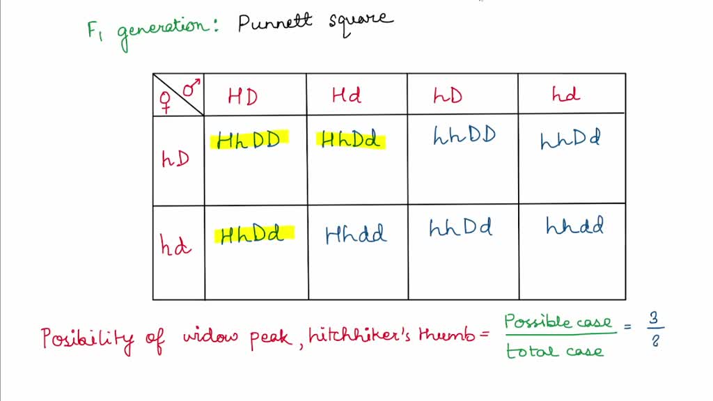 solved-a1-the-allele-for-widows-peak-h-is-dominant-for-the-allele