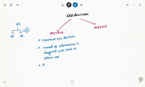 why-is-cell-division-important-in-the-body-28955