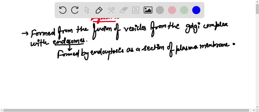 solved-cell-biology-multipart-question-what-are-the-steps-for-lysosome