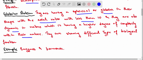 what-are-the-classifications-of-proteins-according-to-their-functions-and-structures-give-examples-for-each-group-54718