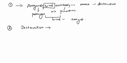 aleasllgiewviuueacnseltlcetvnarecunect-stuck-bind-antibodies-to-antigens-and-mark-them-for-destruction-one-method-of-destruction-is-called-in-which-each-antibody-binds-two-or-more-antigens-i-02395