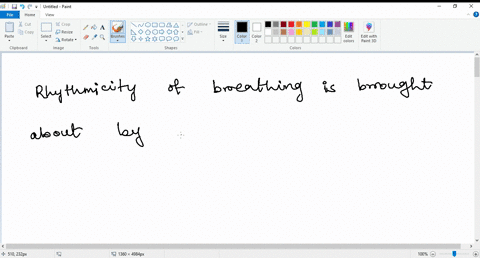 rhythmicity-of-breathing-is-brought-about-by-pacemaker-activity-displayed-by-the-respiratory-muscl-3-07157
