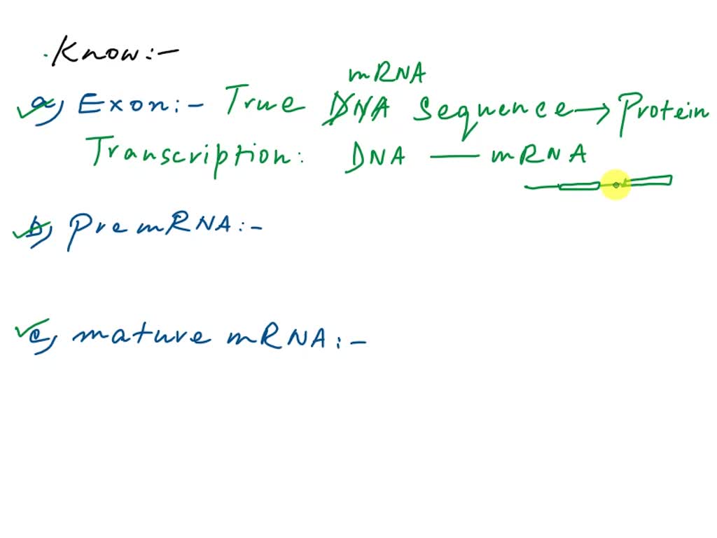 SOLVED: Make a diagram of a fully mature mRNA from a eukaryotic ...