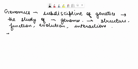 the-subdiscipline-of-genetics-that-focuses-on-the-structure-and-function-of-entire-genomes-is-known-as-recombinant-dna-techniques-gene-cloning-dna-amplification-genomics-proteomics-34207