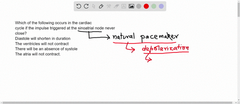 which-of-the-following-occurs-in-the-cardiac-cycle-if-the-impulse-triggered-at-the-sinoatrial-node-never-close-diastole-will-shorten-in-duration-the-ventricles-will-not-contract-there-will-b-63354