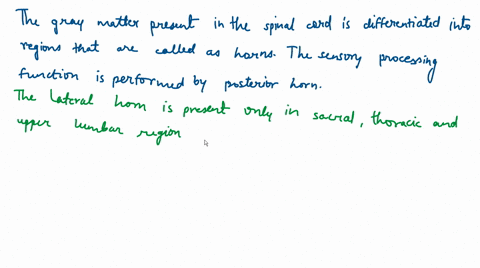 what-region-of-the-spinal-cord-contains-motor-neurons-that-direct-the-movement-of-skeletal-muscles-a-65973