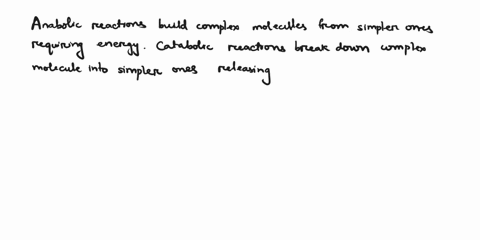 describe-the-difference-between-anabolic-and-catabolic-chemical-reactions-describe-where-in-cellular-respiration-both-catabolic-and-anabolic-reactions-occur-and-how-they-are-linked-85944