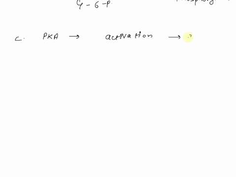 1-which-of-the-following-is-true-regarding-glycogen-metabolism-a-glycogen-synthase-is-activated-by-phosporylation-b-glycogen-phosphorylase-kinase-activates-glycogen-phosphorylase-through-pho-06703