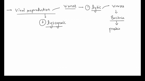 which-viral-reproduction-is-active-and-takes-over-the-process-of-protein-synthesis-to-produce-new-viruses-a-lytic-cycle-b-cell-cycle-c-lysogenic-cycle-23506