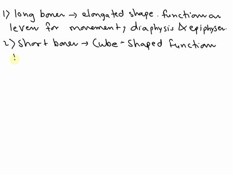 identify-the-characteristics-of-long-short-flat-and-irregularbones-74327